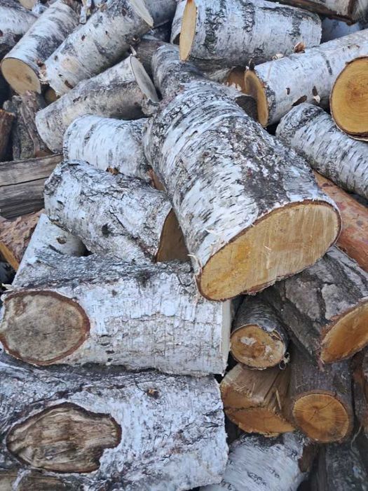 Drzewo,drewno opałowe,opał,kominkowe dąb, brzoza,akacja,sosna