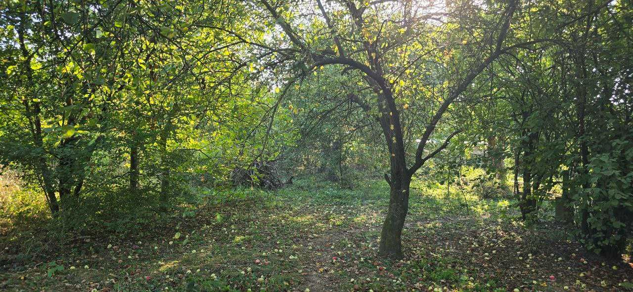 Продам земельну ділянку в с.т. Бистриця Надвірнянська 5.2сотих