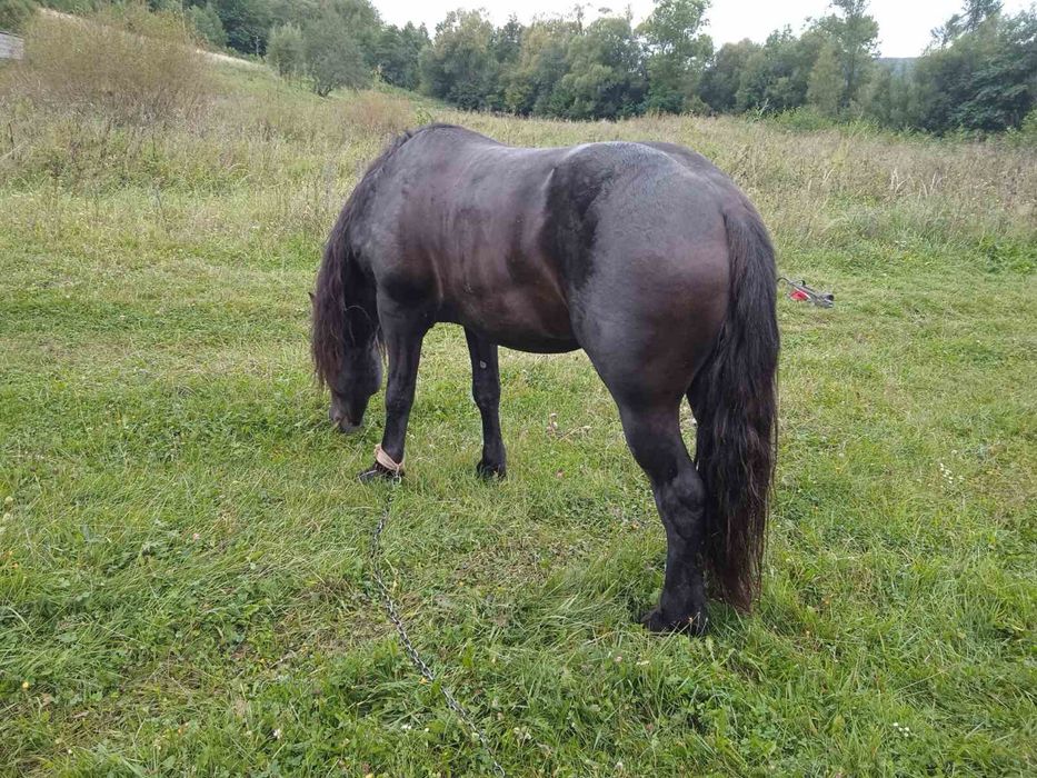 Продам оґера звертайтесь за номером телефону