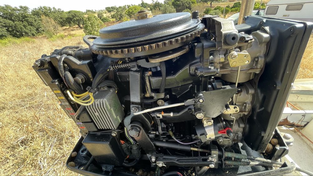 NARWHAL 520H - EVINRUDE 70Cv + Reboque
