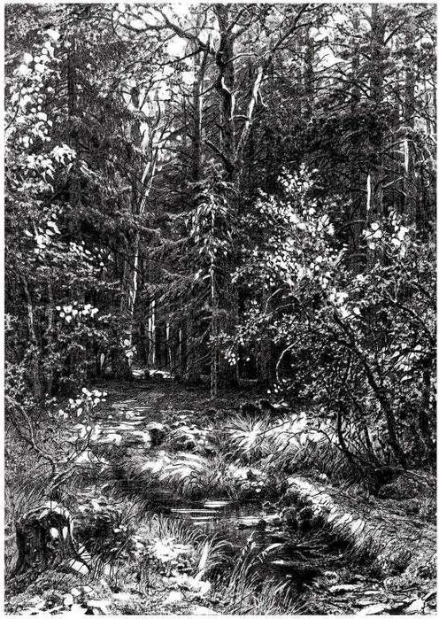 4 prace tworzące cykl pt."Puszcza"