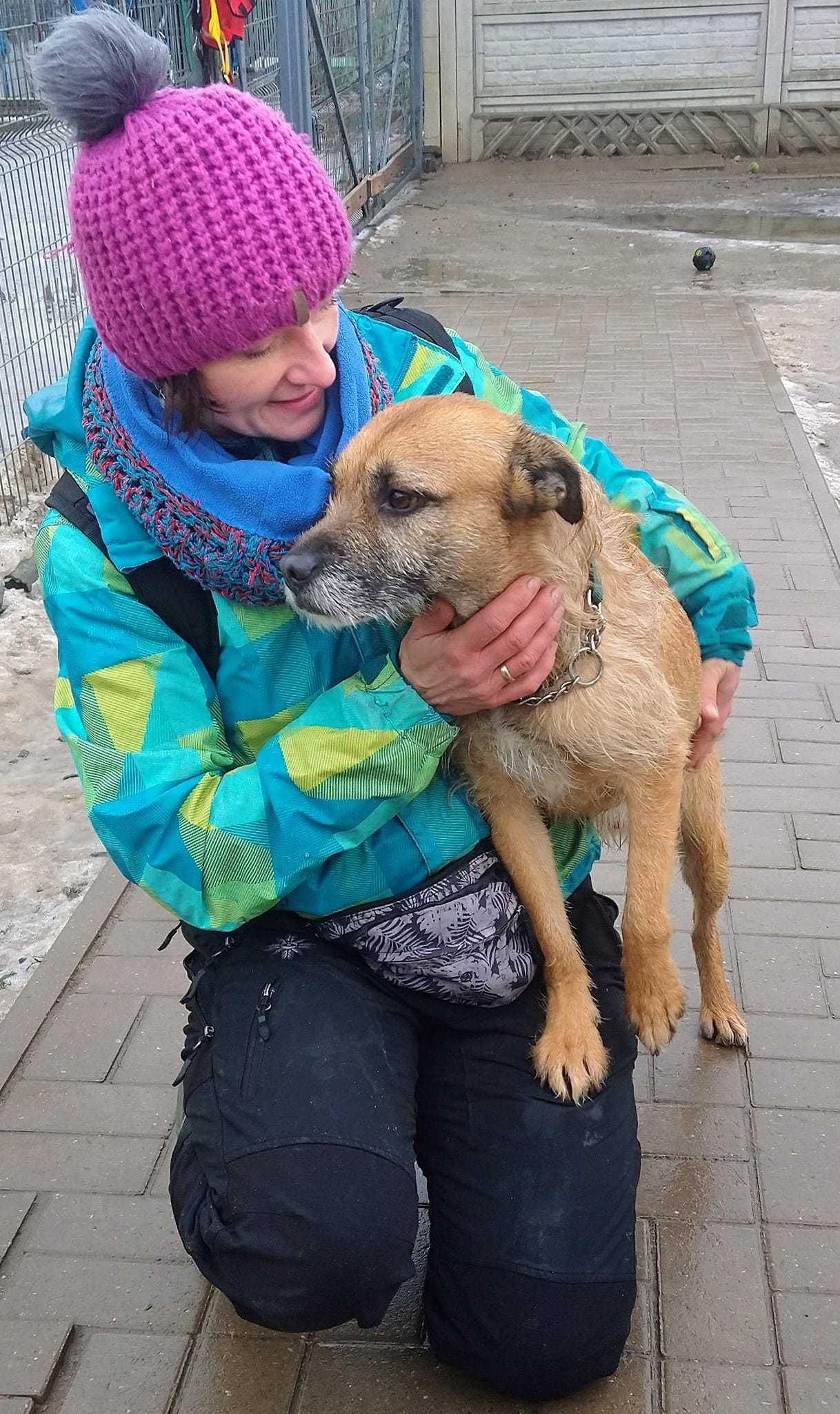 Tedi - uroczy młody psiak - szuka domu na zawsze !