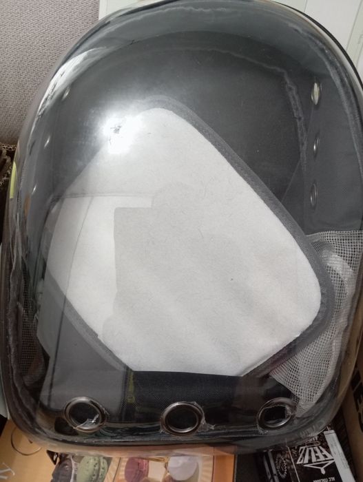 Transporter dla kota