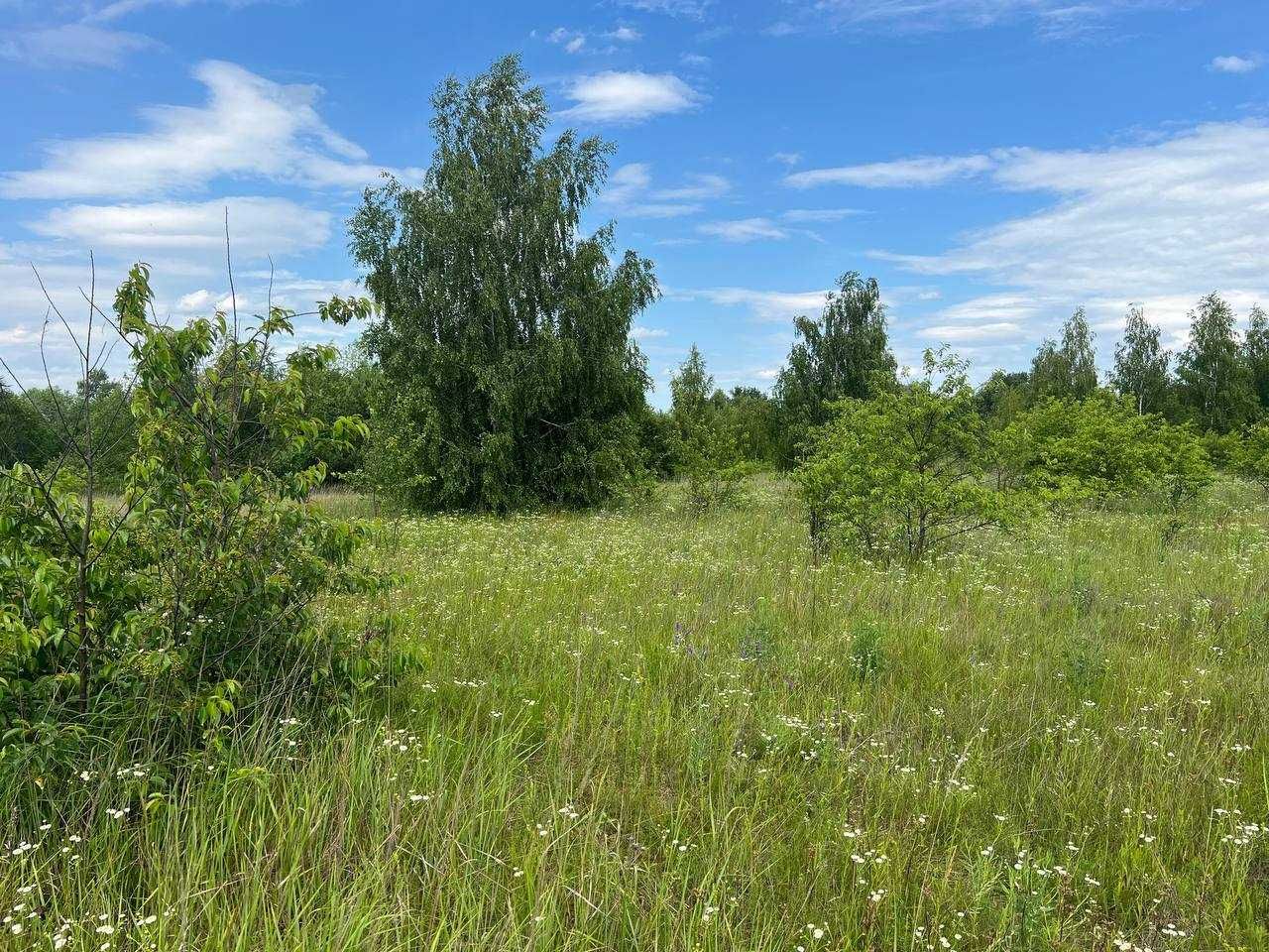 Продаж ділянки 10сот ОСГ. Поруч ліс і озеро. Грунтовий під'їзд. ID:587