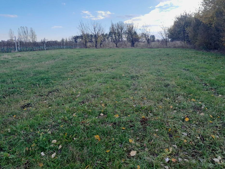 1,05 ha II klasa ziemi. Placówka.