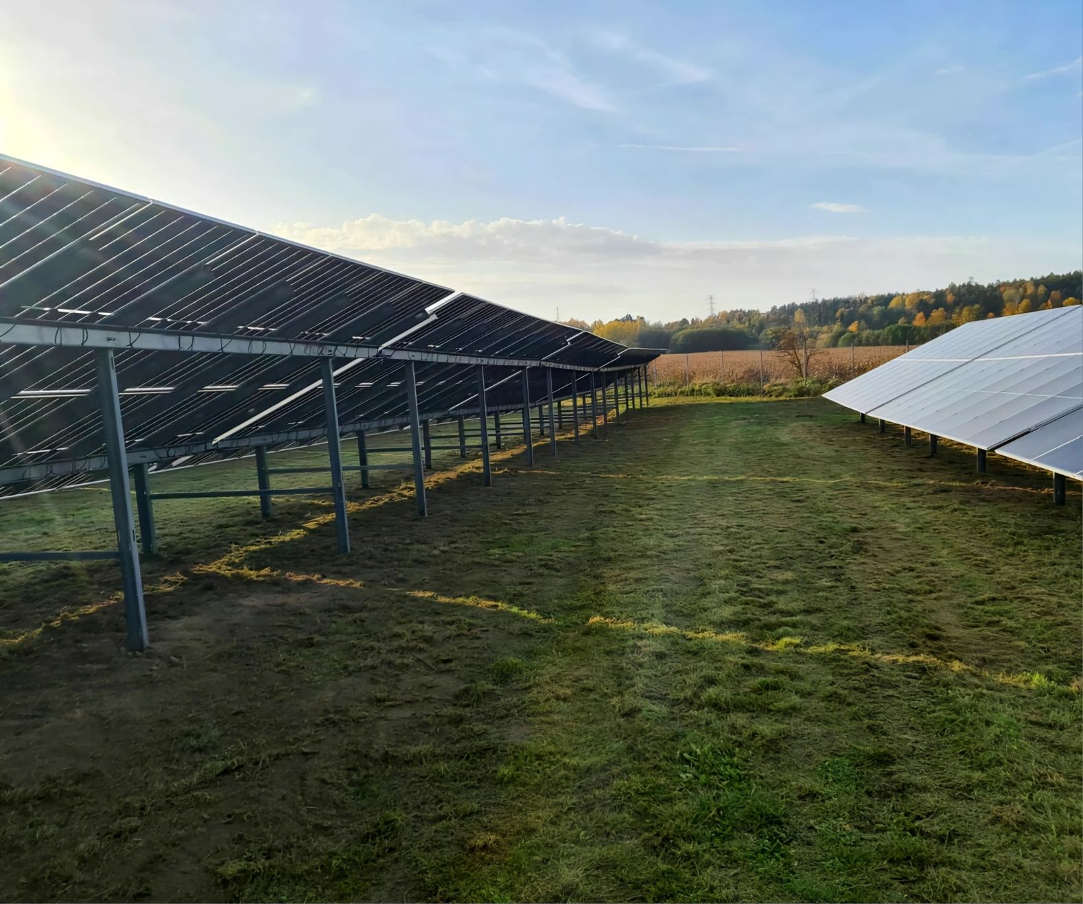 Koszenie traw zarośli farm fotowoltaicznych mulczer Faktura