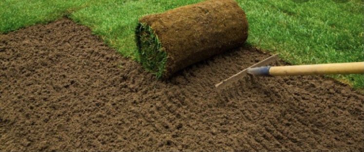 Trawa w rolce 40 m2 dostawa gratis, trawa z rolki,  TRAWNIK PREMIUM