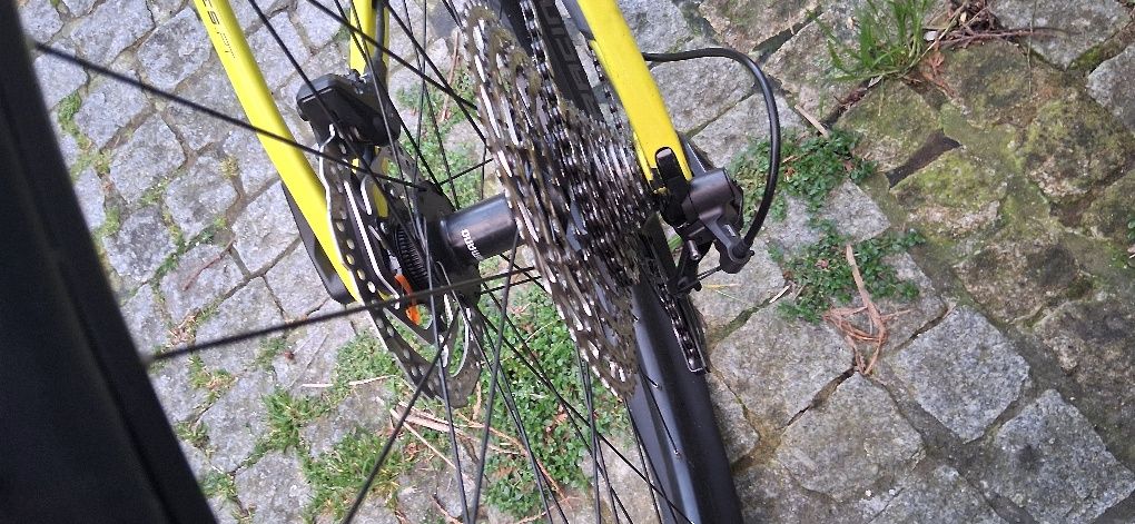 Scott scale 930 carbono