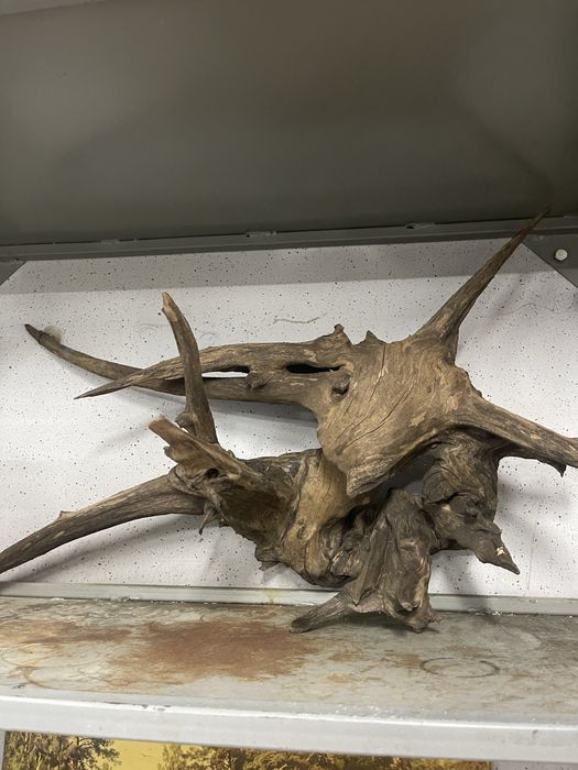 Корень в аквариум