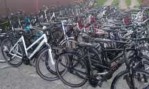 Rower Niemiecki Holenderski Gazelle Giant Pegasus Ktm Kalkhoff Winora