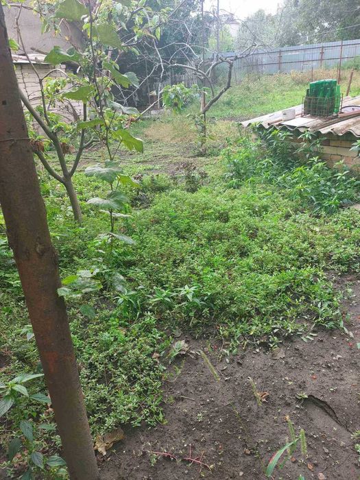 1/21 Продам дом с участком на улице Дмитрия Донского