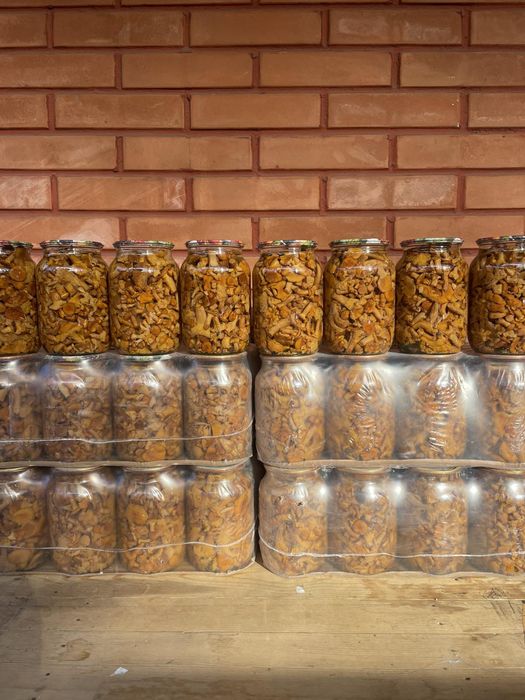 Гриби мариновані