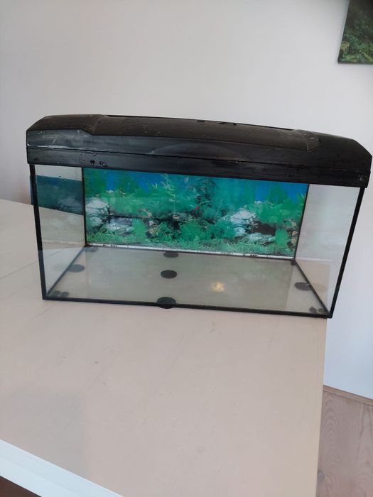 Akwarium  50 litrów