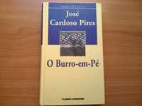 O Burro em Pé - José Cardoso Pires (portes grátis)