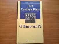 O Burro em Pé - José Cardoso Pires (portes grátis)