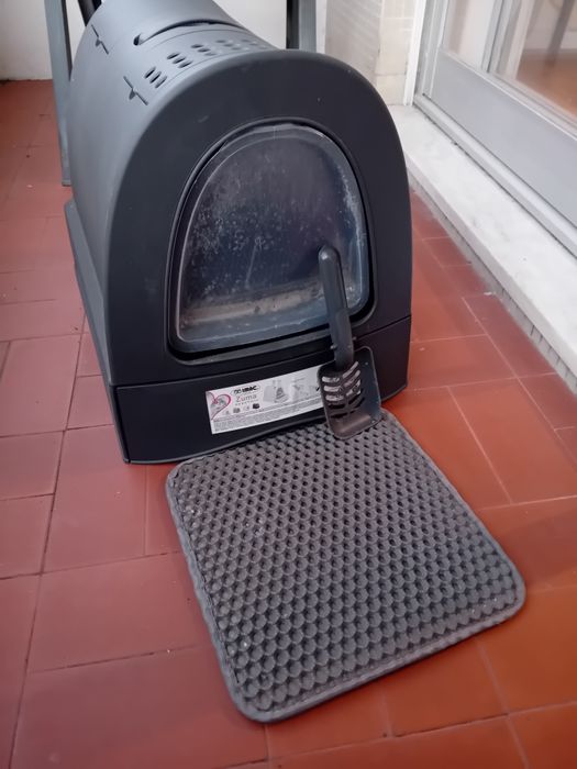 Caixa de areia para animais