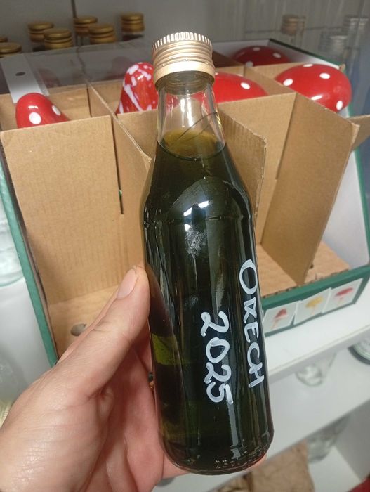 Intensywnie Zielona Orzechówka  2025