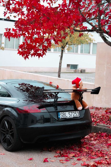 Audi TT 2.0  2008 Automático