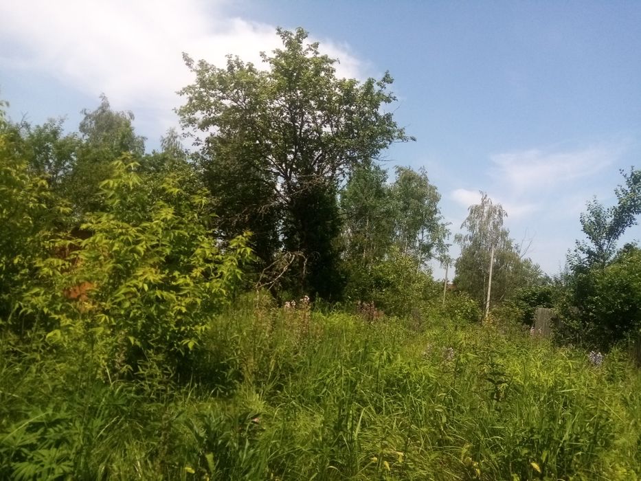 Продаж дачної ділянки в Чернієві