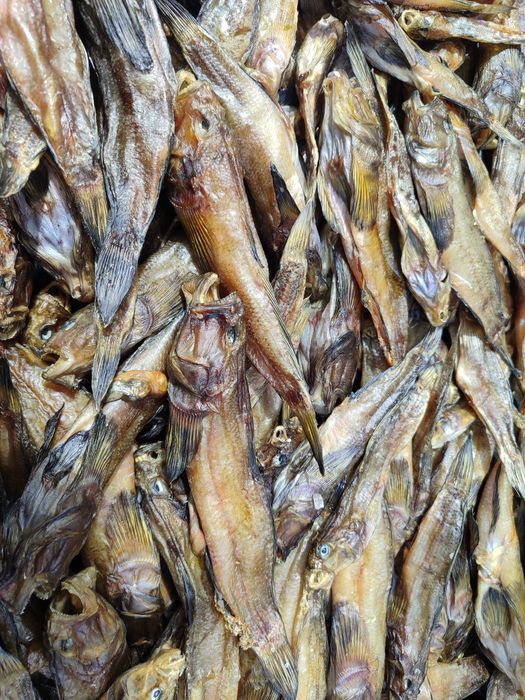 В'ялена густера в наявності опт та роздріб