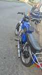 Sash v5  imaculada