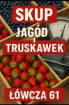 Skup jagut i truskawek Łówcza 61