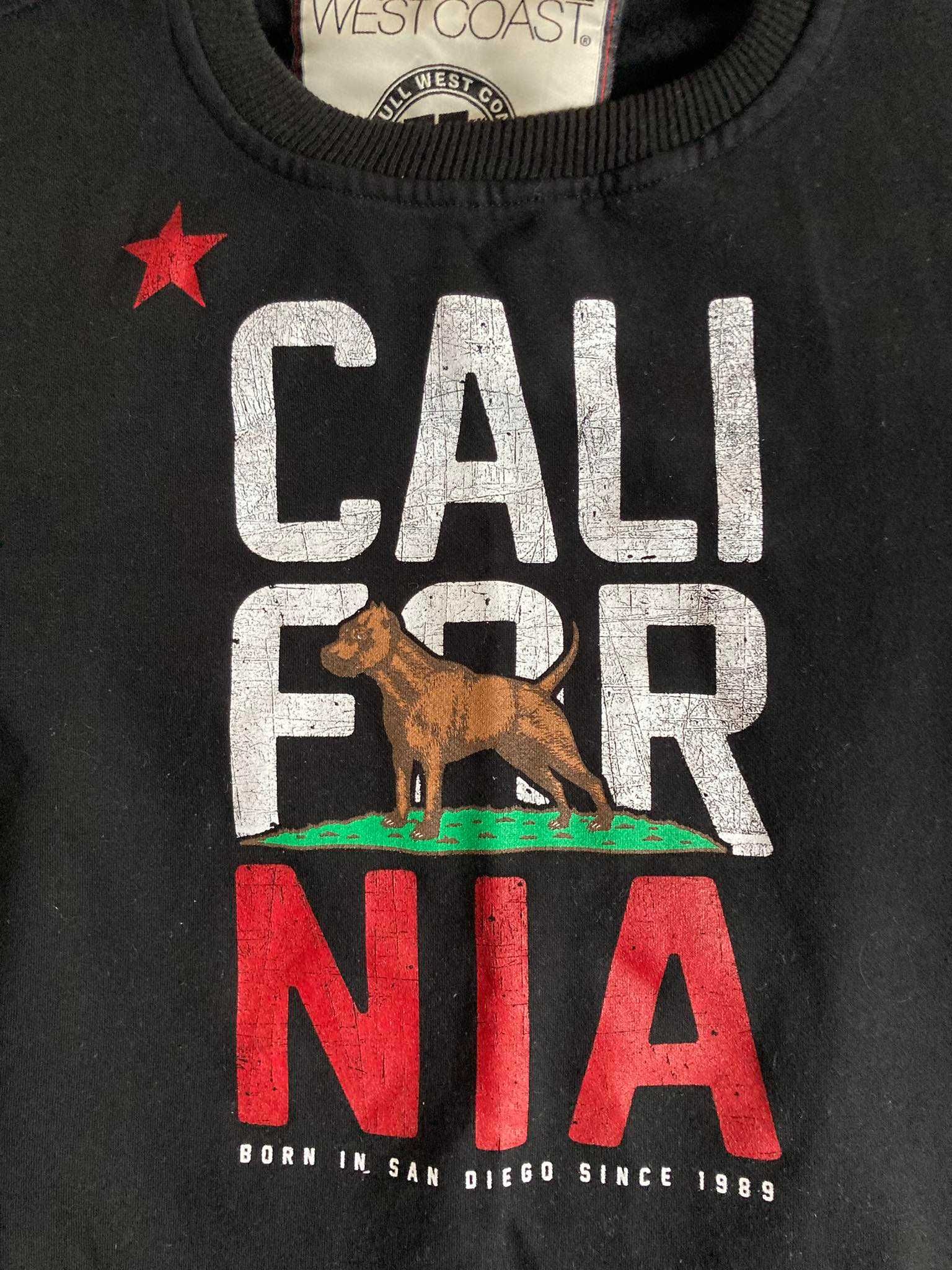 Bluza Pit Bull West Coast California roz. L