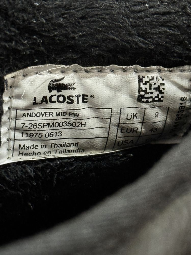 buty męskie firmy Lacoste
