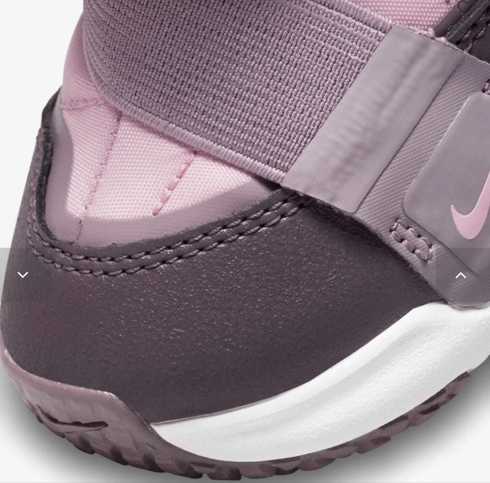 Зимові дитячі Черевики NIKE FLEX ADVANCE BOOT BT DD0303-600 14 см.,25