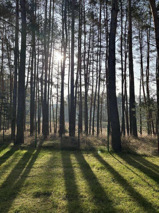 Domek w lesie balia ,jezioro ,ryby. Mężyk