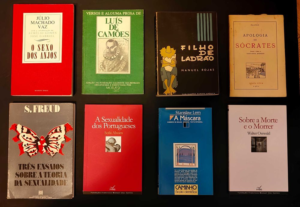 32 livros da literatura nacional e internacional - Lote 32€