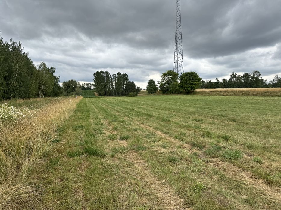 Działki budowlane z WZ, uzbrojone.