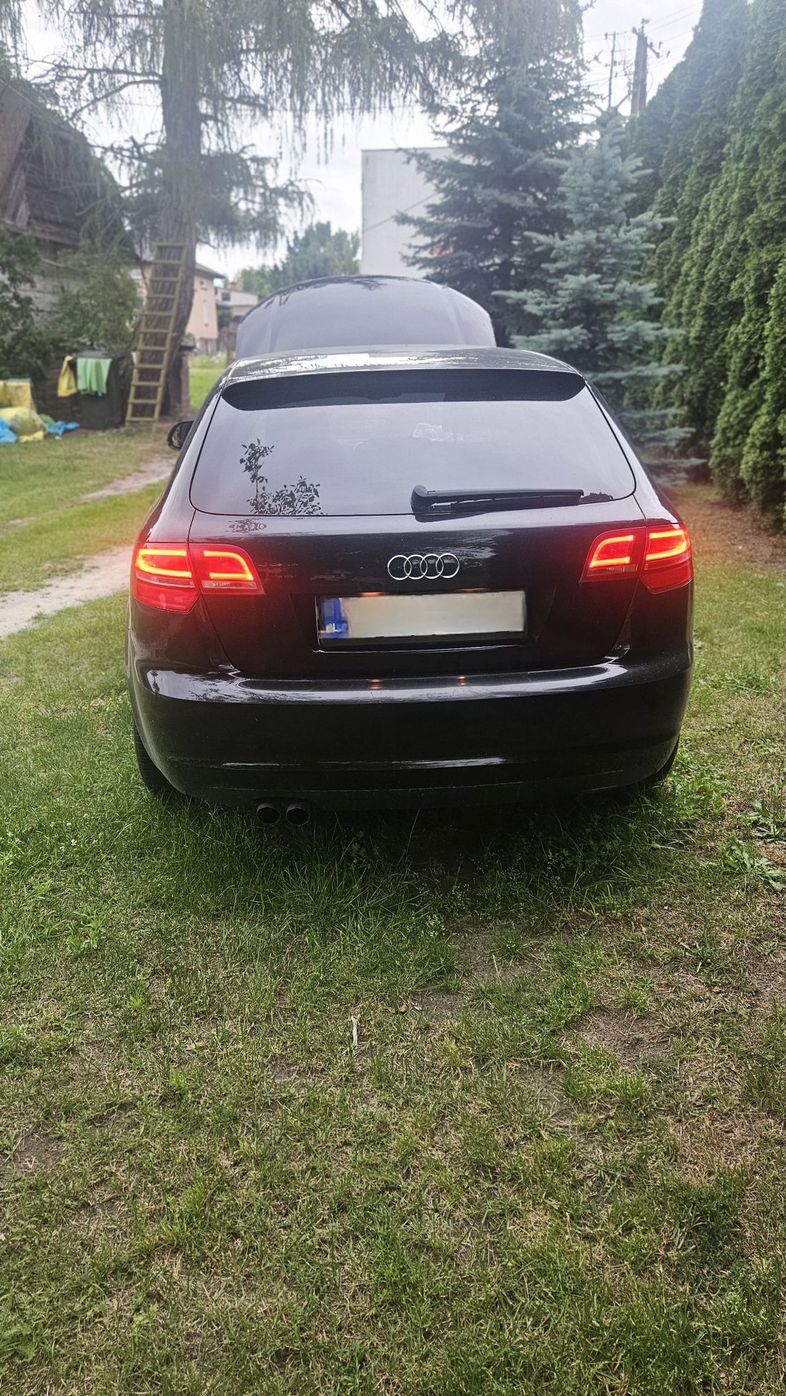 Audi A3 8P 2.0 TDI
