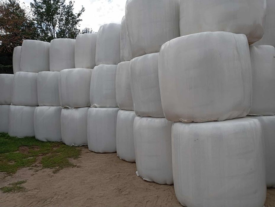 Sprzedam bele sianokiszonki