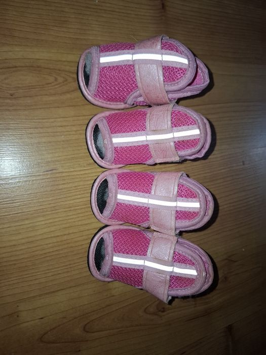 Взуття для собак дрібних порід нове