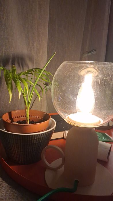 Limpeza e organização de espaços- Praia da Barra/ Costa Nova