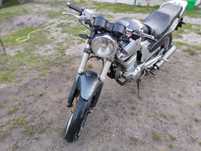 Stinger250 двох циліндровий