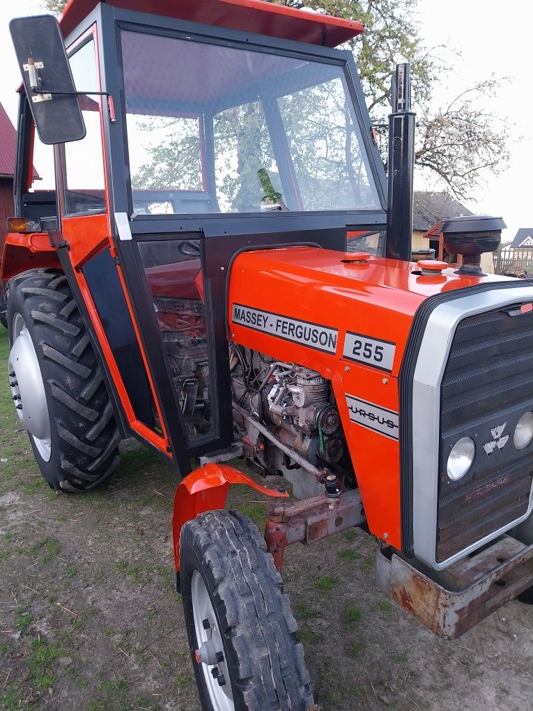 Ferguson Massey 255 Ciągnik jest dobrze utrzymany 3512/2812