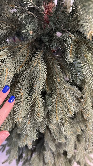 Новорічна Ялинка