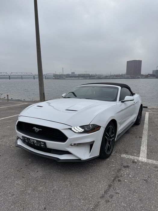 Аренда авто. Прокат авто. Подменная машина. Авто выкуп.