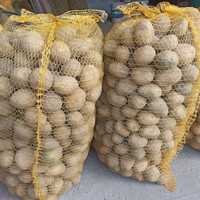 Ziemniaki Soraya kal. 35-55 mm