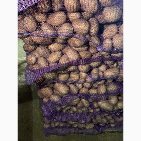 Продам картоплю, Арізона
