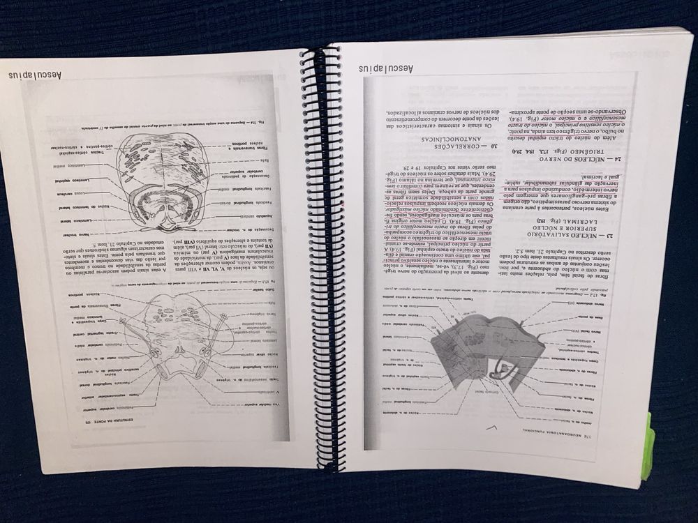 Neuroanatomia funcional livro de medicina