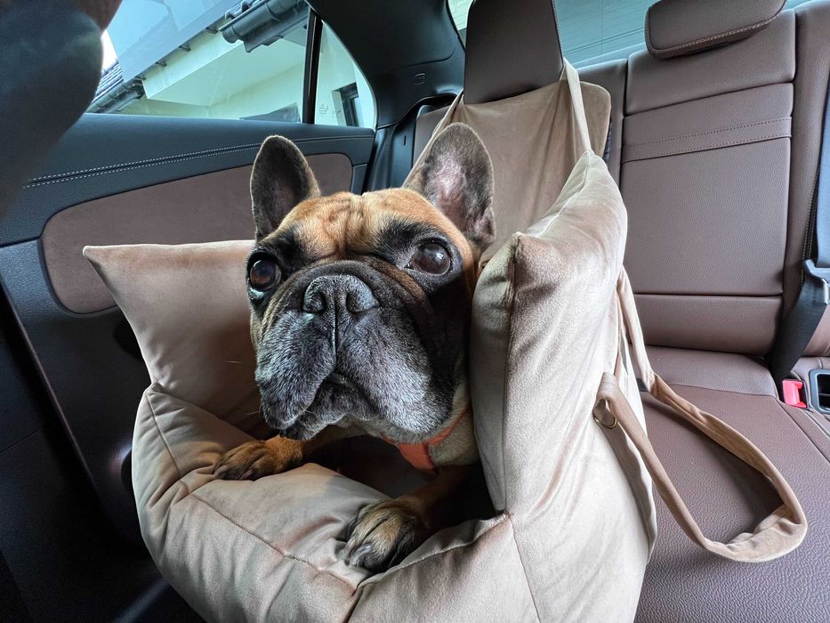 Fotelik samochodowy dla psa 55 x 45 cm kolory do wyboru system ISOFIX