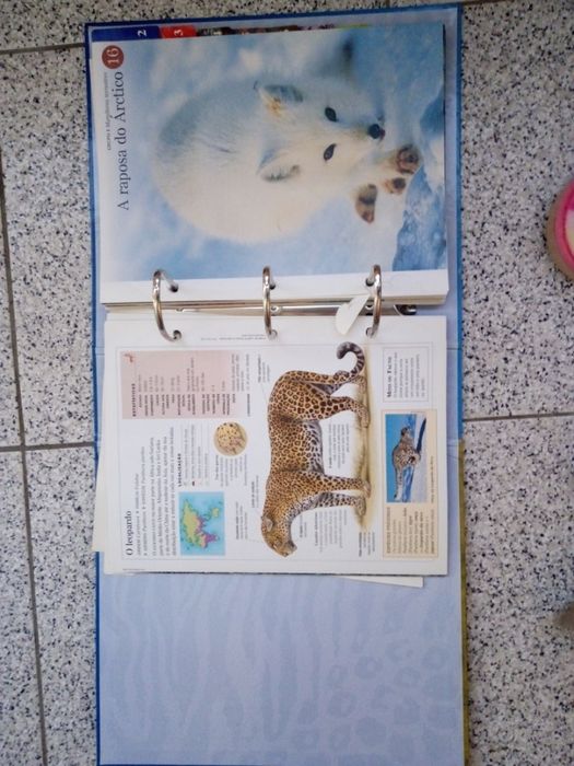 Enciclopédia "O Fascinante Mundo Animal"