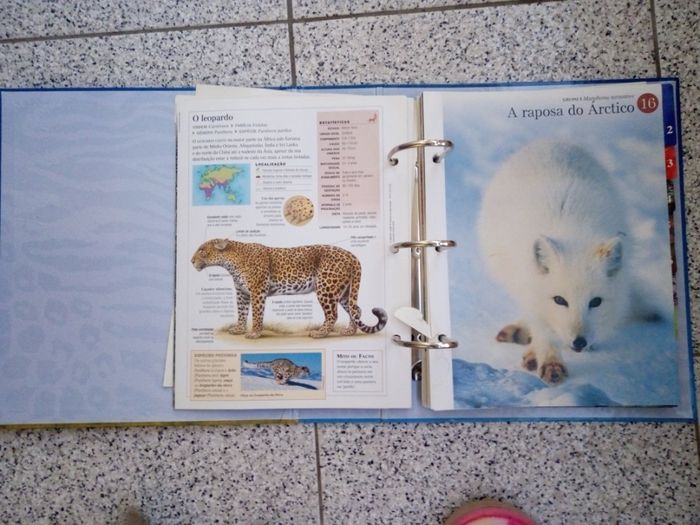 Enciclopédia "O Fascinante Mundo Animal"