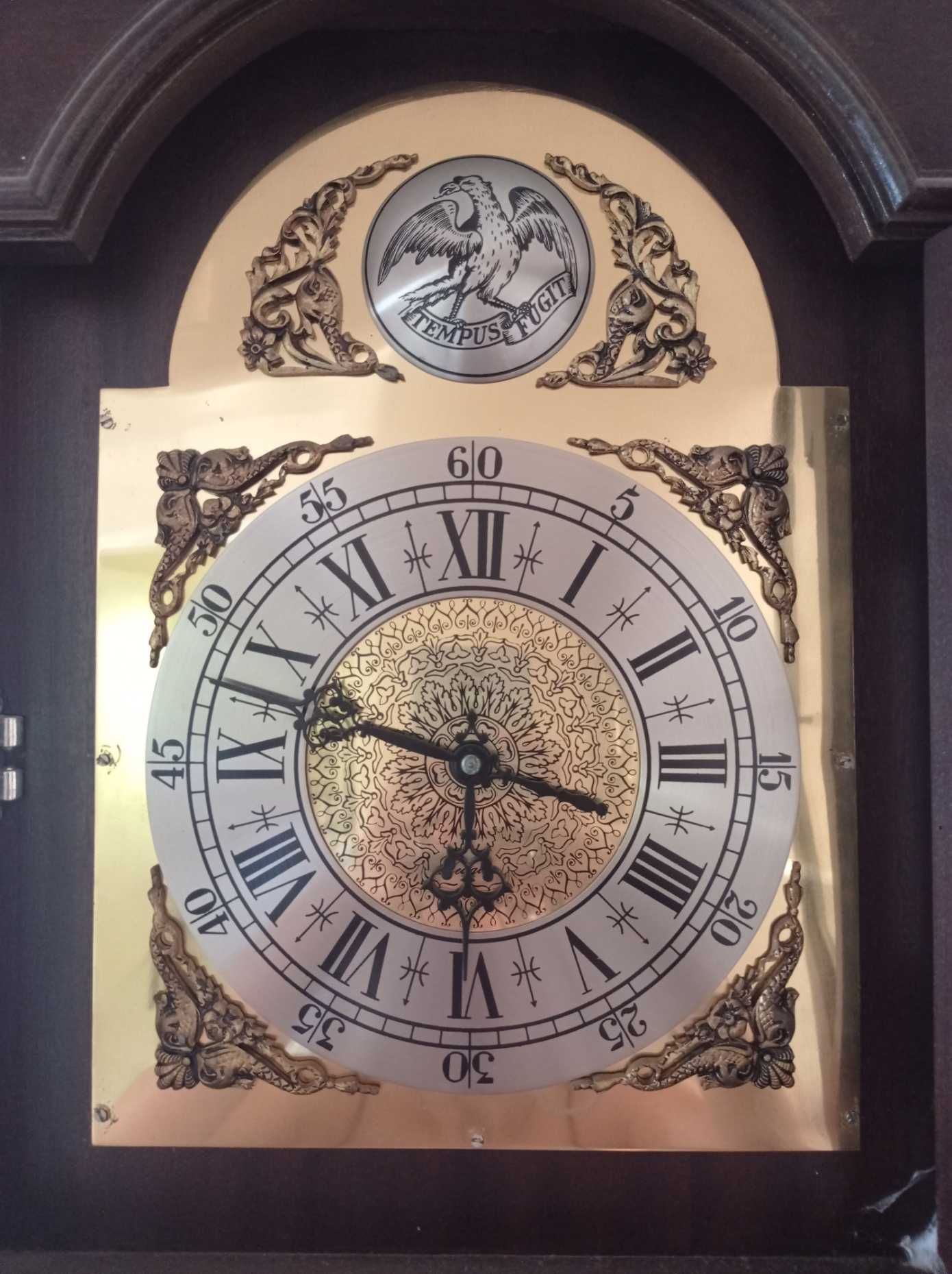 Relógio Pendular Vintage - Tempus Fugit