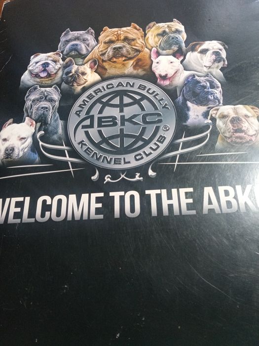 American Billy sunia