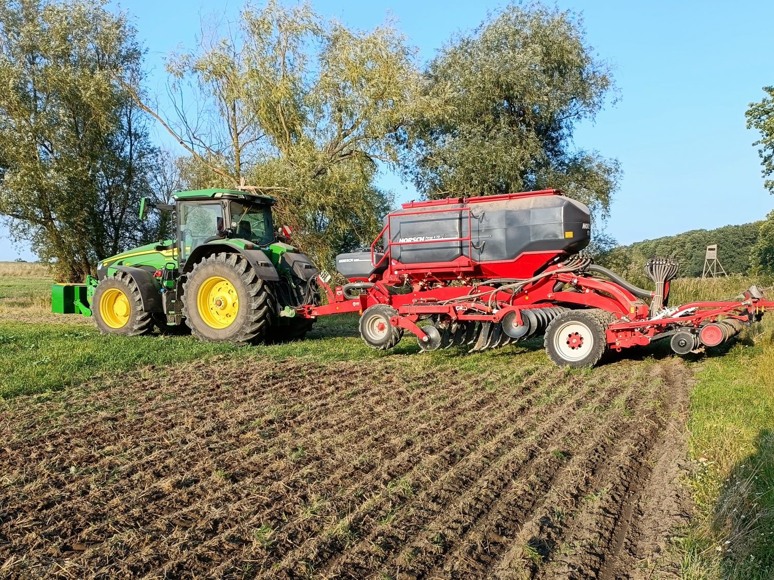 Siew strip-till, siew pasowy