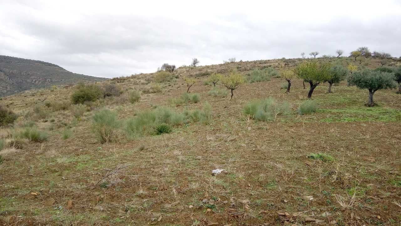 Terreno 15000m2 (1,5h)